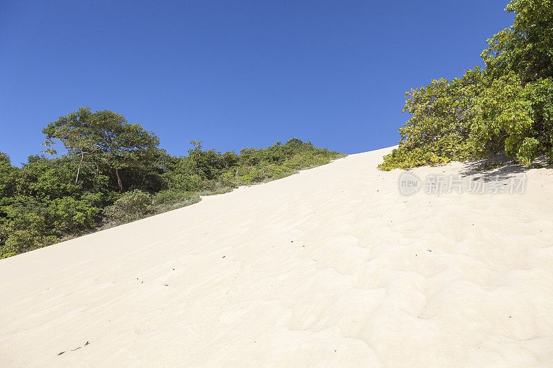 巴西纳塔尔的Morro do Careca沙丘